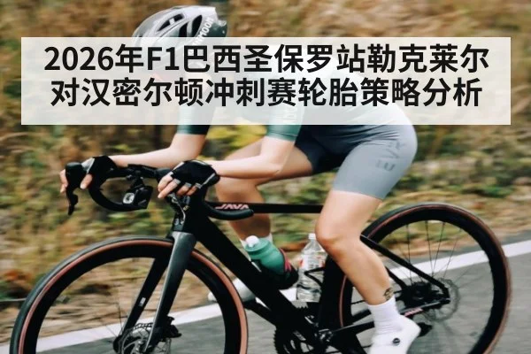 2026年F1巴西圣保罗站勒克莱尔对汉密尔顿冲刺赛轮胎策略分析（kaiyun）